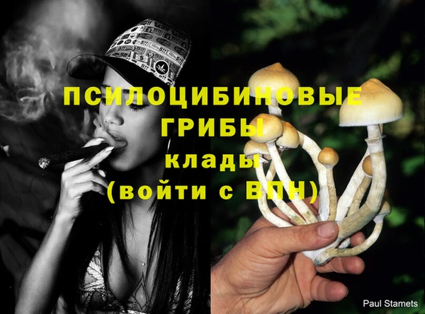 соль курить ск Абдулино