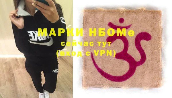 индика Алзамай